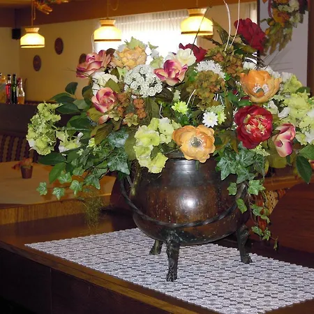 Hotel Orsingher San Martino Di Castrozza